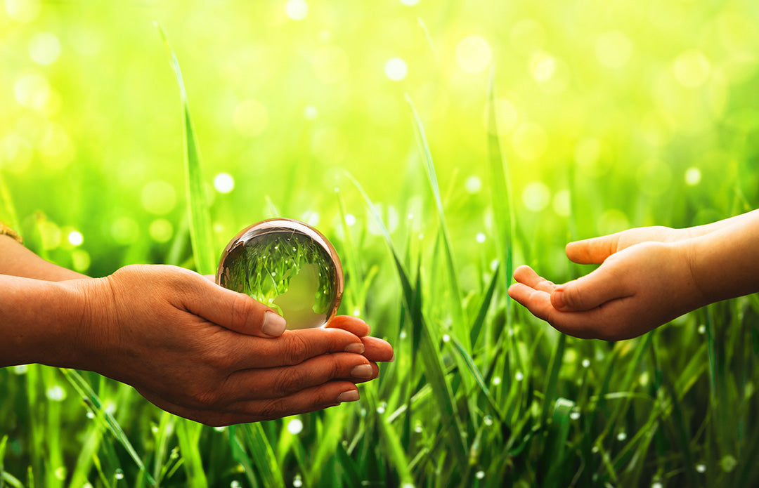 The Environmental Choice That May Surprise You – Salted Perfection